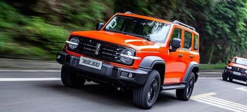 长城坦克300最新爆料,硬派越野新标杆来袭! 第1张 长城坦克300最新爆料,硬派越野新标杆来袭! 第1张