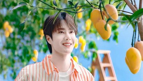 娱乐爆料王一博杨紫,娱乐爆料引粉丝热议  第1张